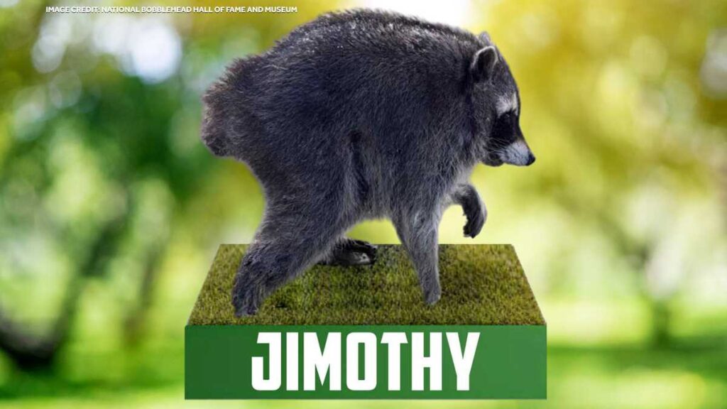 ‘Jimothy’ the raccoon becomes pop culture star with bobblehead and Google animation