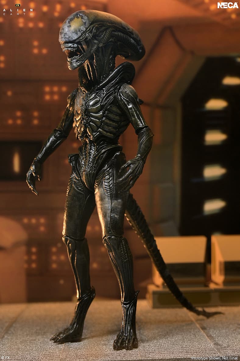NECA Reveals Ultimate Wendy's Xenomorph Figure from 'Alien: Earth'