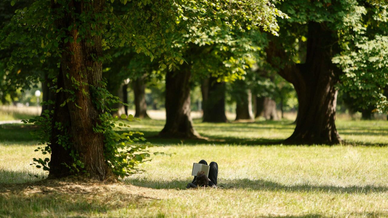 Ein Foto zeigt einen Mann, auf dem Rücken liegend und ein Buch lesend, im schattigen Gras unter großen Bäumen in einem Park