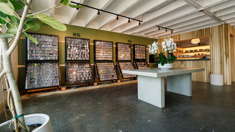 trading card shop interior, shelves of cards against back wall