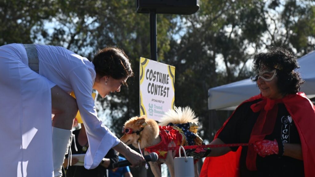 Canines assemble before Comic-Con: ‘PAWmicon’ will celebrate shaggy superheroes