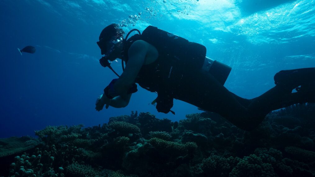 Phil Torres, 'Expedition X: Atomic Sharks,' Shark Week special, Discovery Channel, premieres July 29, 2026.