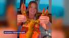 1 in 30 million catch: Yellow lobster caught off NH coast