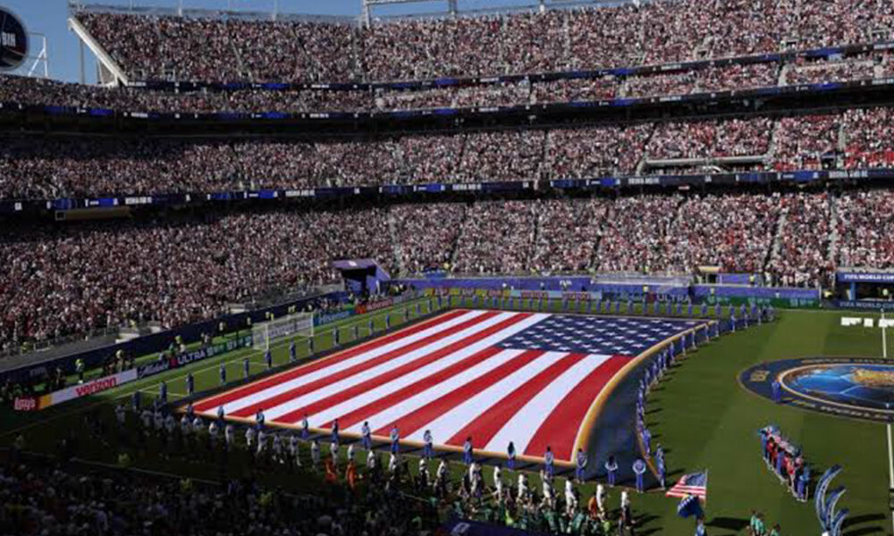 FIFA to sell World Cup final pitch as collectible memorabilia FIFA to sell World Cup final pitch as collectible memorabilia