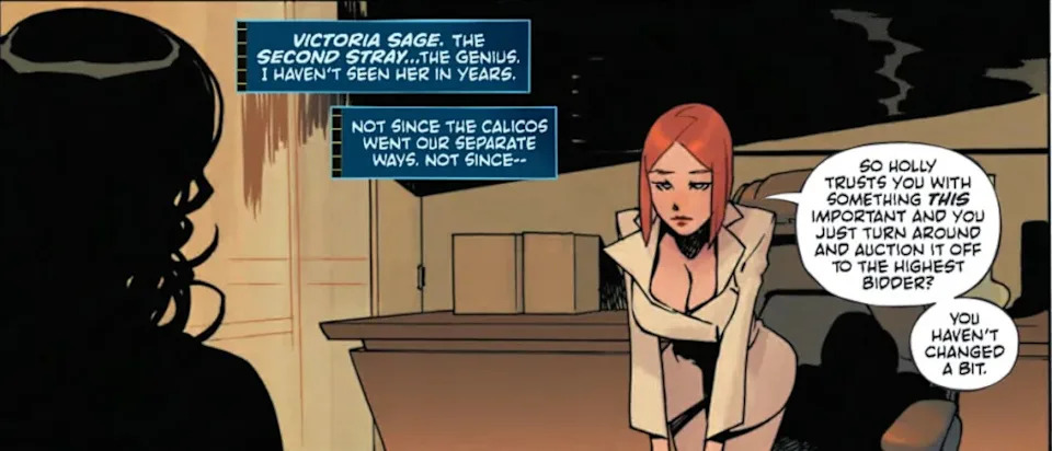 Victoria Sage aka The Question of the Absolute Universe in Absolute Catwoman #1