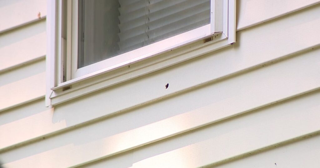 13-year-old nearly hit by bullet while playing video games in his home 13-year-old nearly hit by bullet while playing video games in his home