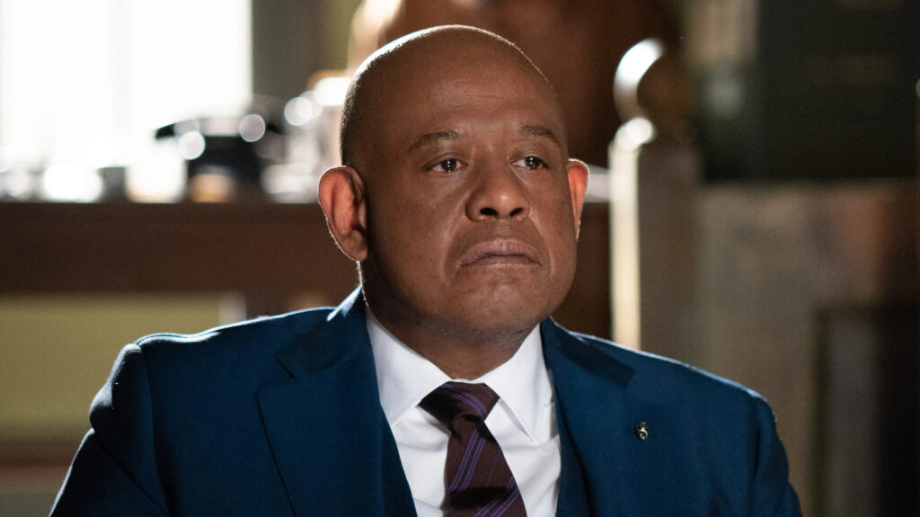10 Best TV Shows About American History, Ranked 10 Best TV Shows About American History, Ranked