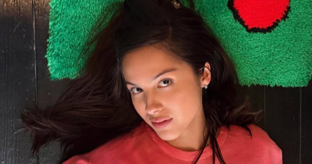 Olivia Rodrigo seemingly confirms relationship with private equity associate