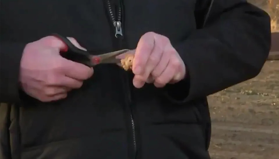 Farmer cutting rare lion Ooshie in half live on TV in 2019.