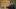 NARCOS_301_Unit_00124R