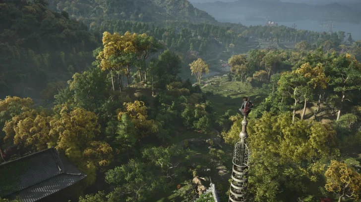 A character perched atop a tall structure surveys a lush, expansive forest landscape in a scene from the game Black Myth: Wukong.