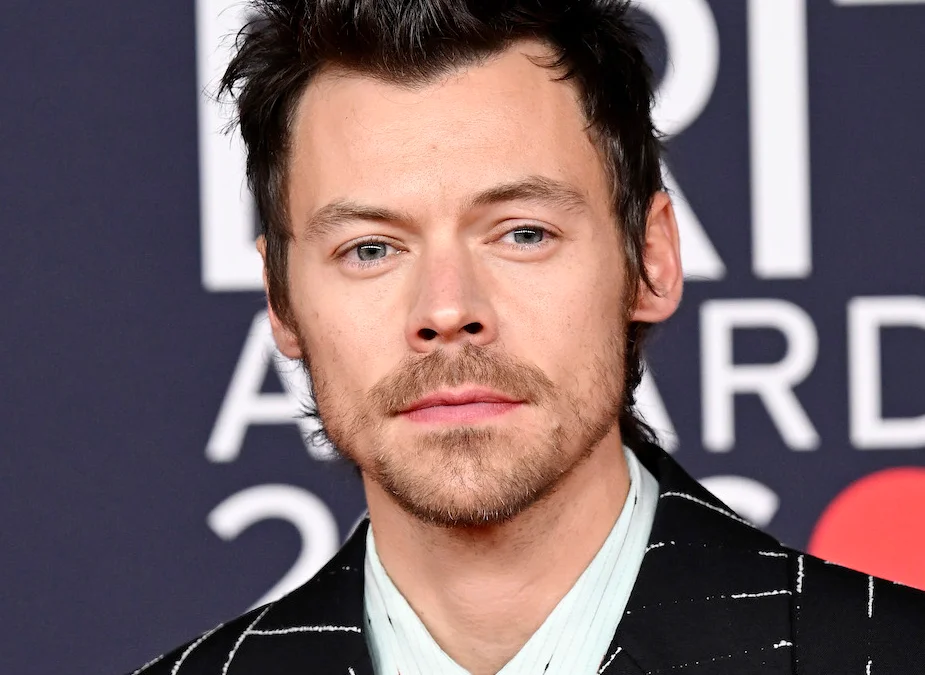 Harry Styles Movies and TV Shows Harry Styles Movies and TV Shows