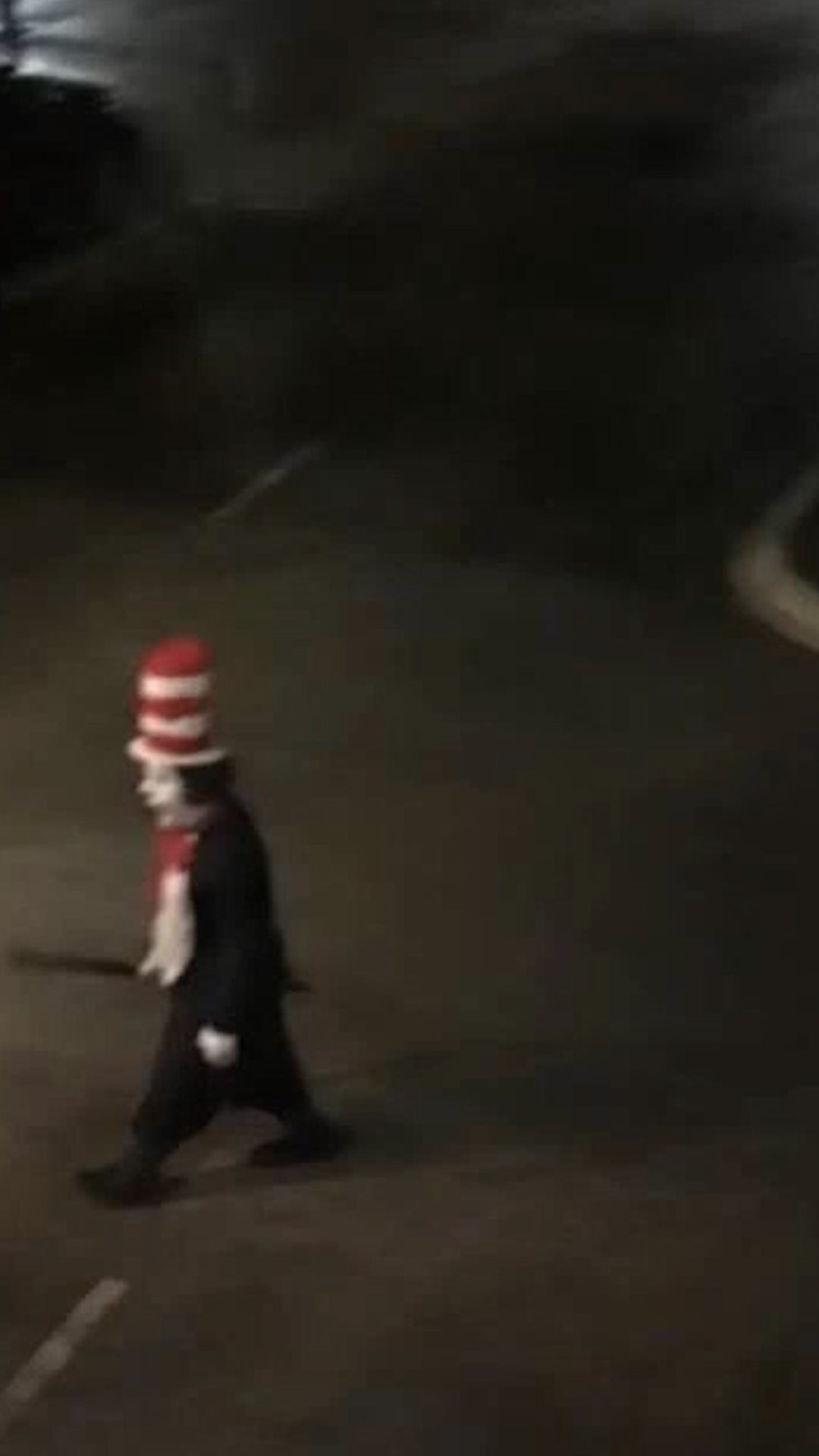22926433 - Cat in Hat CLEAN.00_00_10_11.Still001.jpg