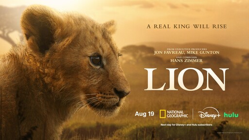 Watch ‘Lion’ Premiering August 19 on National Geographic. Streams Next Day on Disney+ & Hulu Watch ‘Lion’ Premiering August 19 on National Geographic. Streams Next Day on Disney+ & Hulu