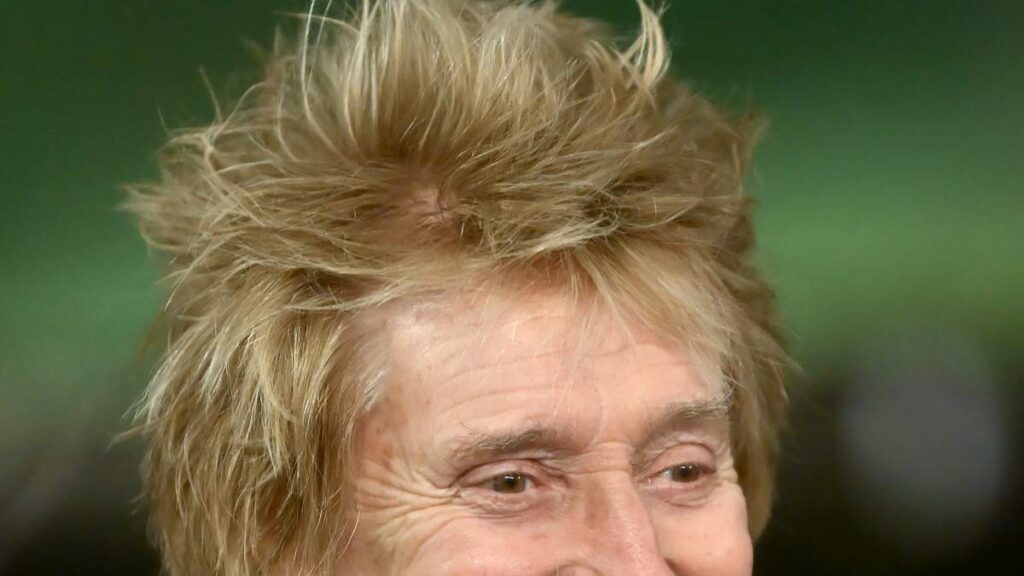 Rod Stewart Undergoes Heart Procedure, Pauses Tour Rod Stewart Undergoes Heart Procedure, Pauses Tour