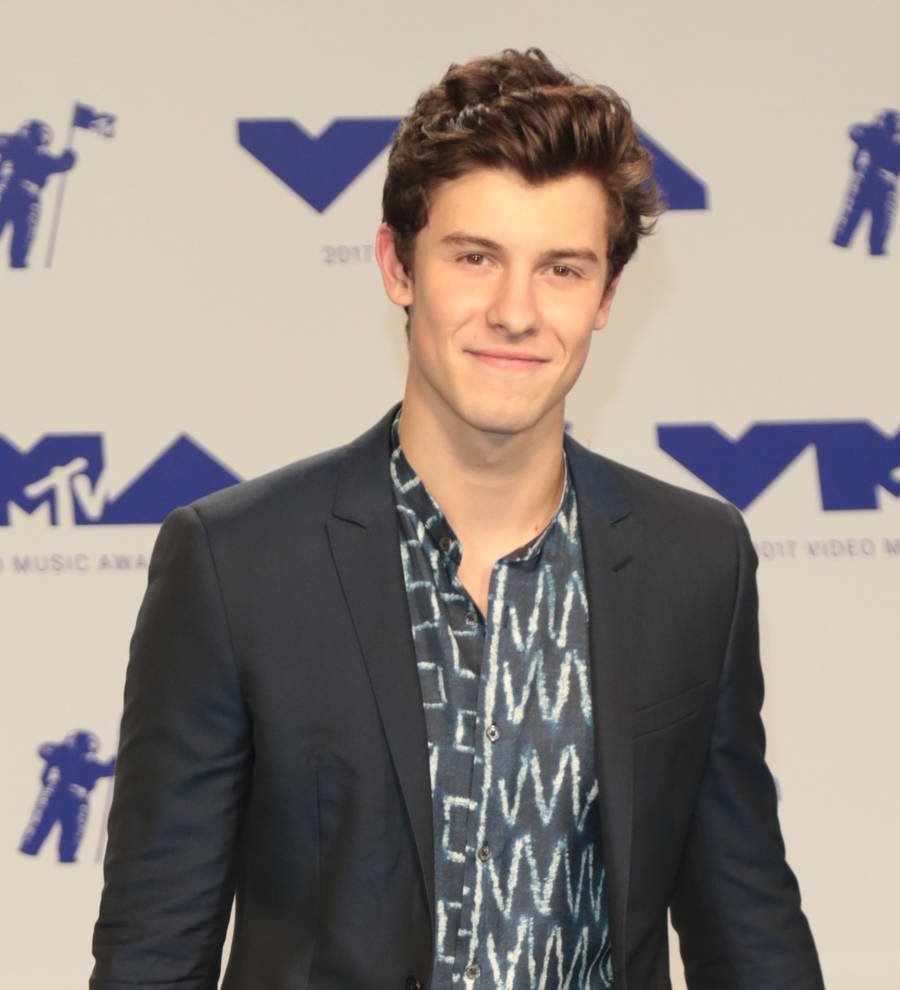 Shawn Mendes dominates MTV EMAs ceremony