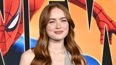 Was Sadie Sink's Spider-Man Brand New Day Role Accidentally Spoiled by Musician Steve Lacy?