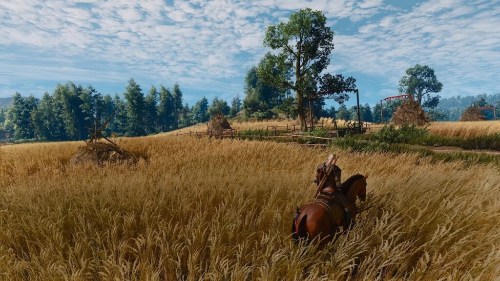 The Witcher 3 Remastered details Nintendo Switch 2 frame rate and resolution, physical release teased, mouse controls supported, mods confirmed