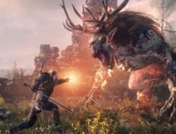 A scene from The Witcher series