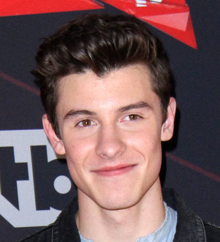 Shawn Mendes left 'terrified' after being detained by Drake's security