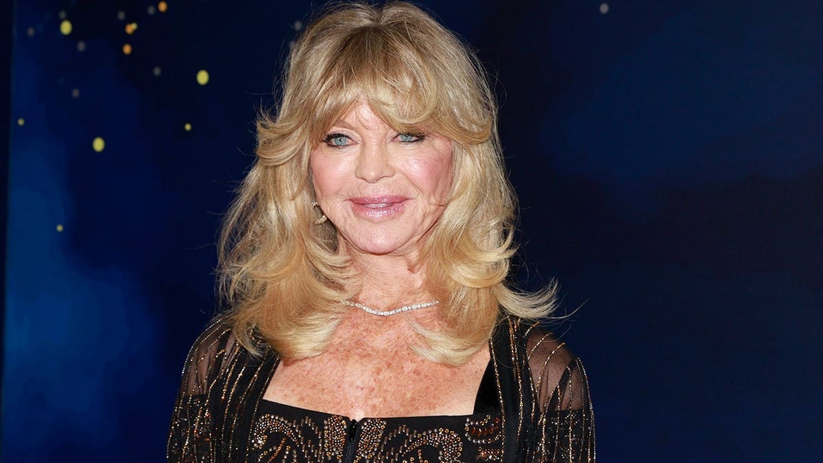 Goldie Hawn at the Make-A-Wish Annual Gala in Los Angeles in December 2025.