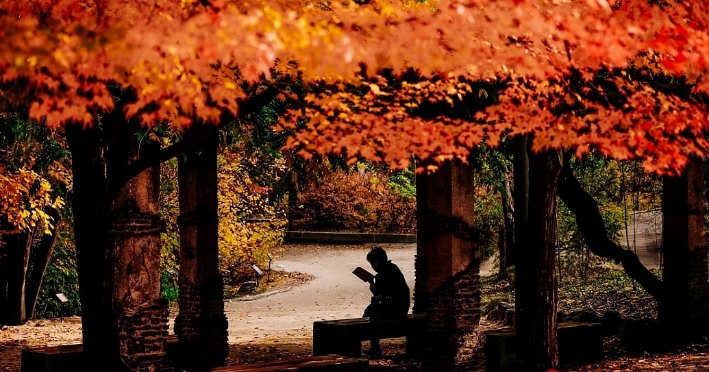 South Korean Books Reach 3.58M in Exports in 5 Years