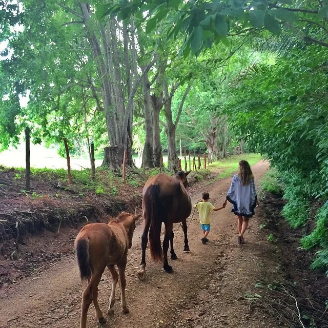 My Little Pony