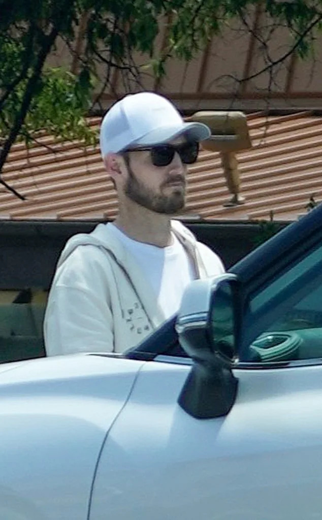 Brian Hickerson Steps Out for First Time After Hayden Panettiere's Death
