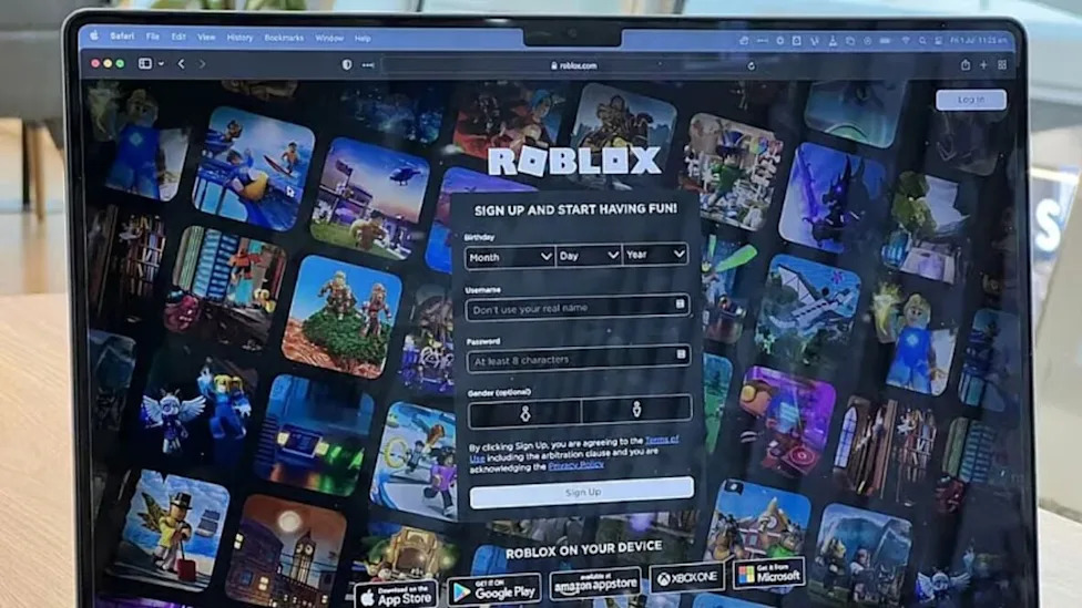 Roblox Commits to Privacy Overhaul Unsplash