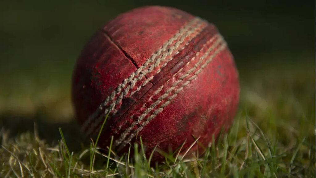 How to watch Oman Cricket D50 Series on Dafanews: Live stream, schedule for Oman cricket tournament