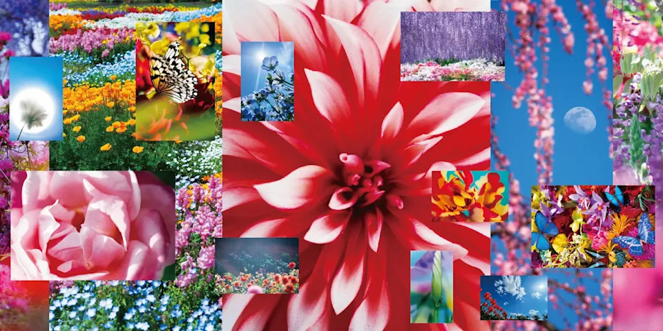 Photograph: Courtesy Tomio Koyama GalleryMika Ninagawa. Untitled, 2026. Photocollage.