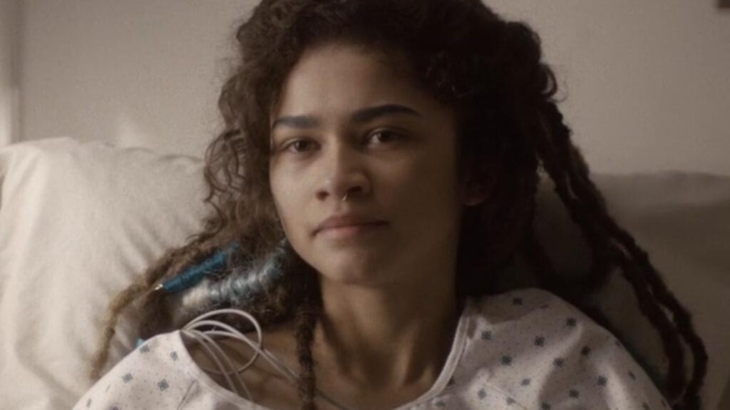 Before Dune, Zendaya Appeared In A Cult Netflix Sci-Fi Series That Was Canceled Too Soon Before Dune, Zendaya Appeared In A Cult Netflix Sci-Fi Series That Was Canceled Too Soon