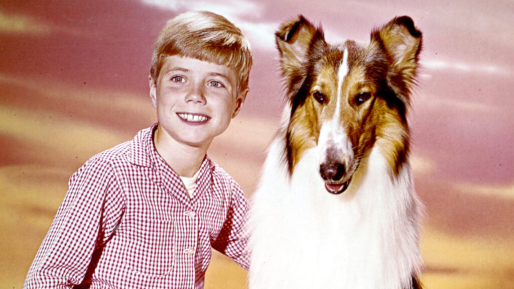 5 Best TV Shows That Starred Dogs, Ranked