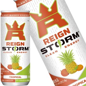 Reignstorm Tropical 250ml×30