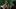 Last_Seen_Photo_010401