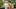 Kit Connor and Joe Locke in Heartstopper - Netflix