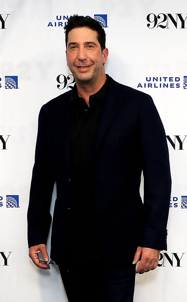 <p>David Schwimmer</p>