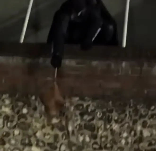Mr Mason scaled a wall by the city's catherdral to help recover to stolen item.