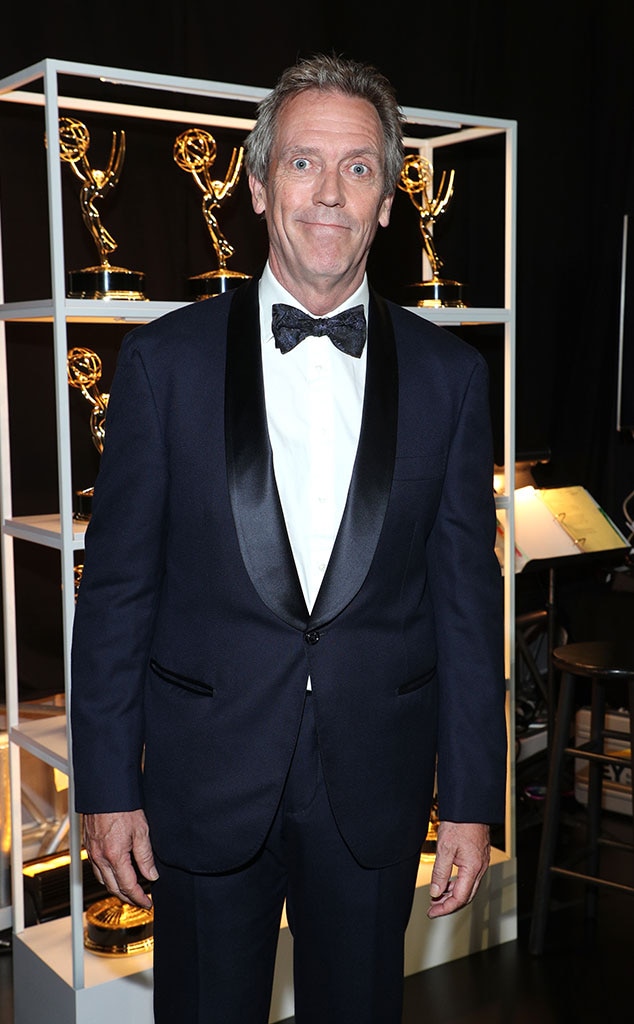 <p>Hugh Laurie</p>