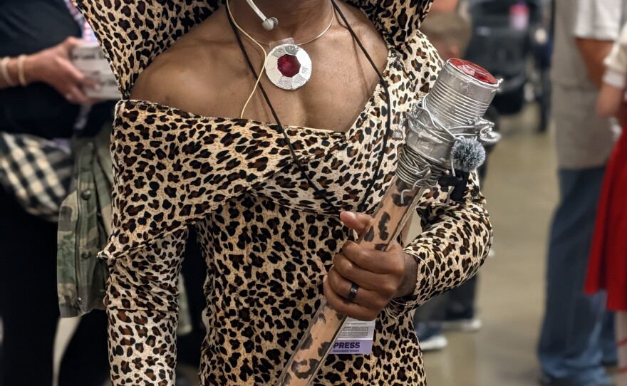 Cosplayers at Fan Expo Dallas 2026