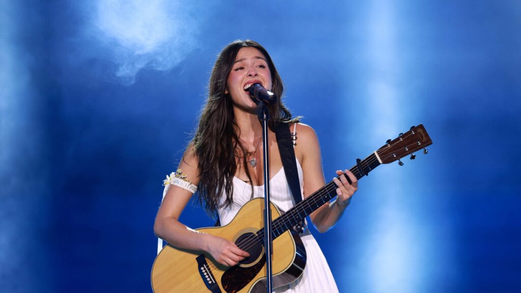 How much money did Olivia Rodrigo’s Daisy Chain Fields raise?