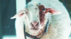 2025’s Most Underrated Sci-Fi Series Finally Reveals Season 2 Footage As Filming Finally Begins