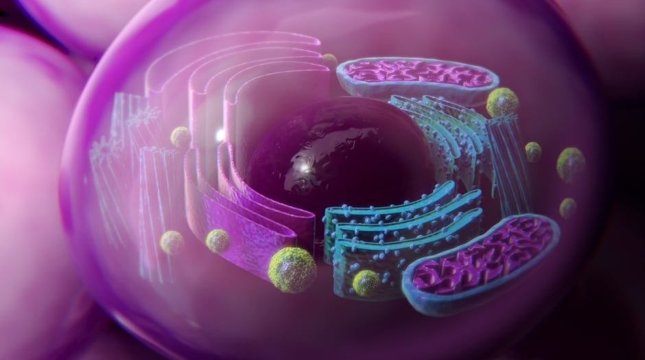 InfuseMed Turns 20 Years of Medical Animation into Immersive Training InfuseMed Turns 20 Years of Medical Animation into Immersive Training