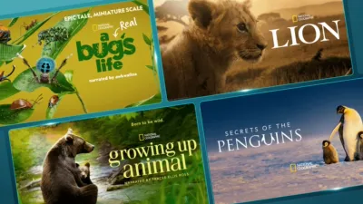 A montage of four National Geographic nature documentary posters displayed on a blue background, featuring "A Real Bug's Life" narrated by Awkwafina, "Lion," "Growing Up Animal" narrated by Tracee Ellis Ross, and "Secrets of the Penguins."