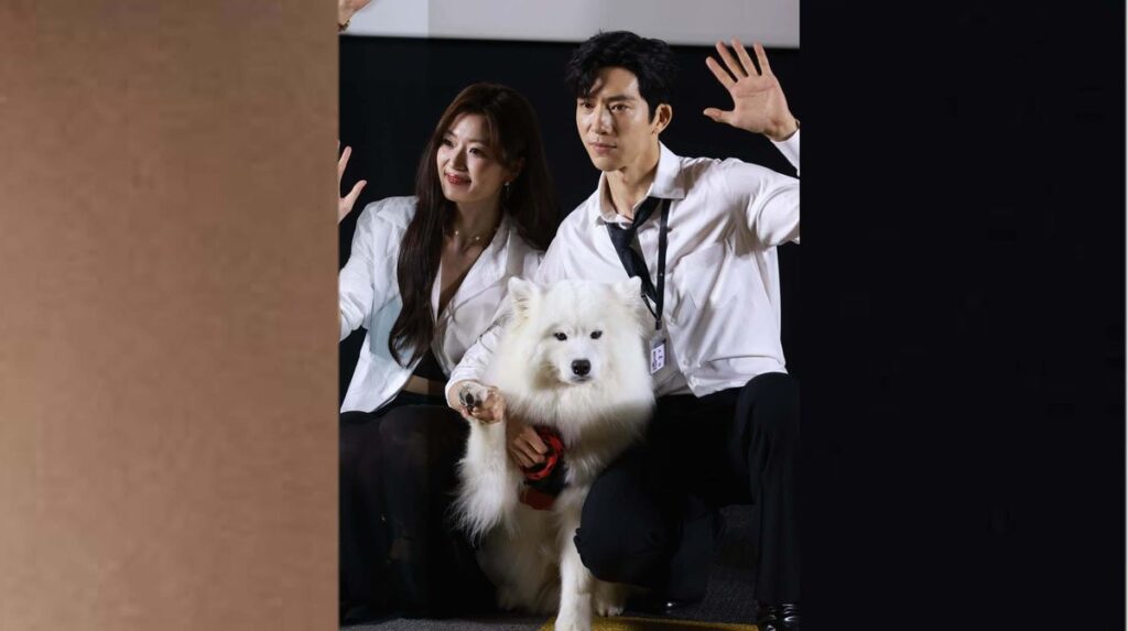Taylor Swift and Travis Kelce’s dog Wendy isn’t the only Samoyed dominating pop culture