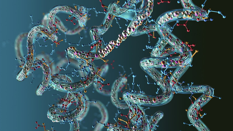 A 3D rendering of proteins.