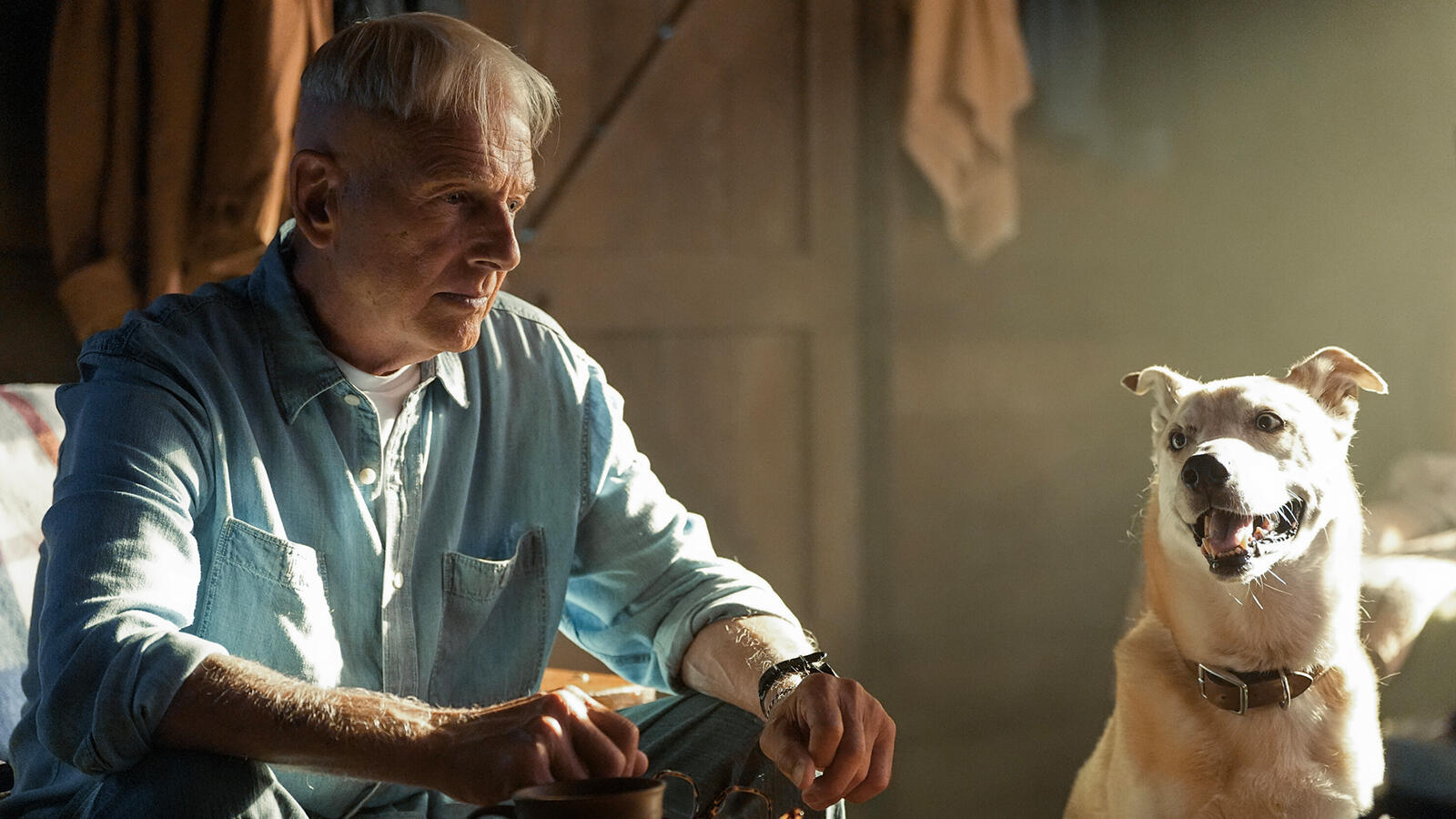 Mark Harmon, NCIS: Origins