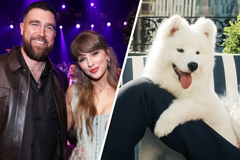 Man, woman and white dog