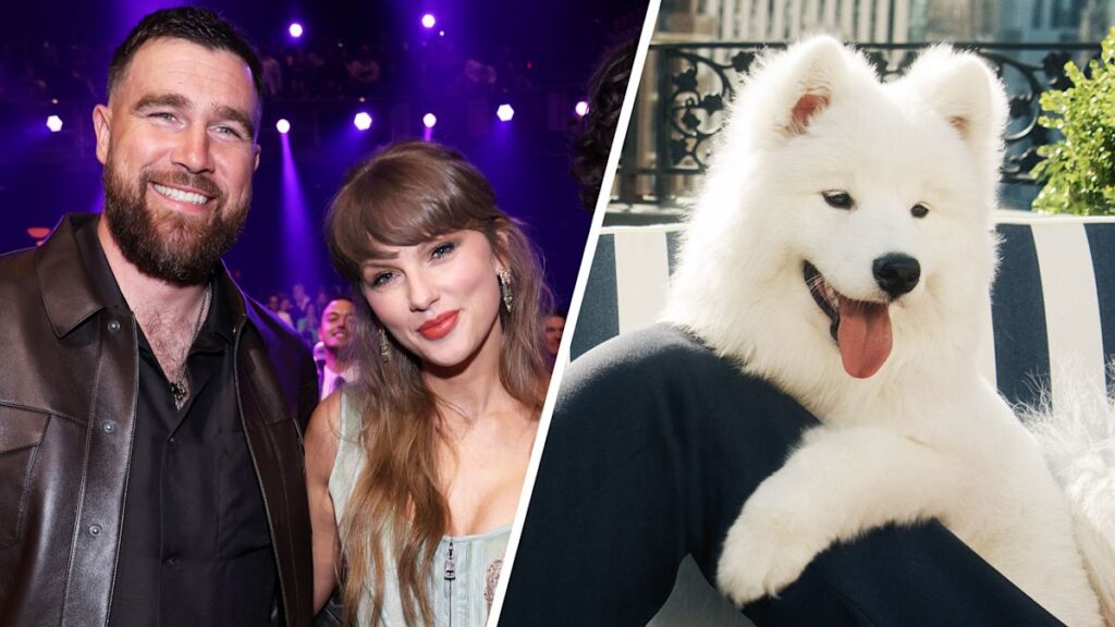 Meet Taylor Swift and Travis Kelce’s new dog. She’s already a model.