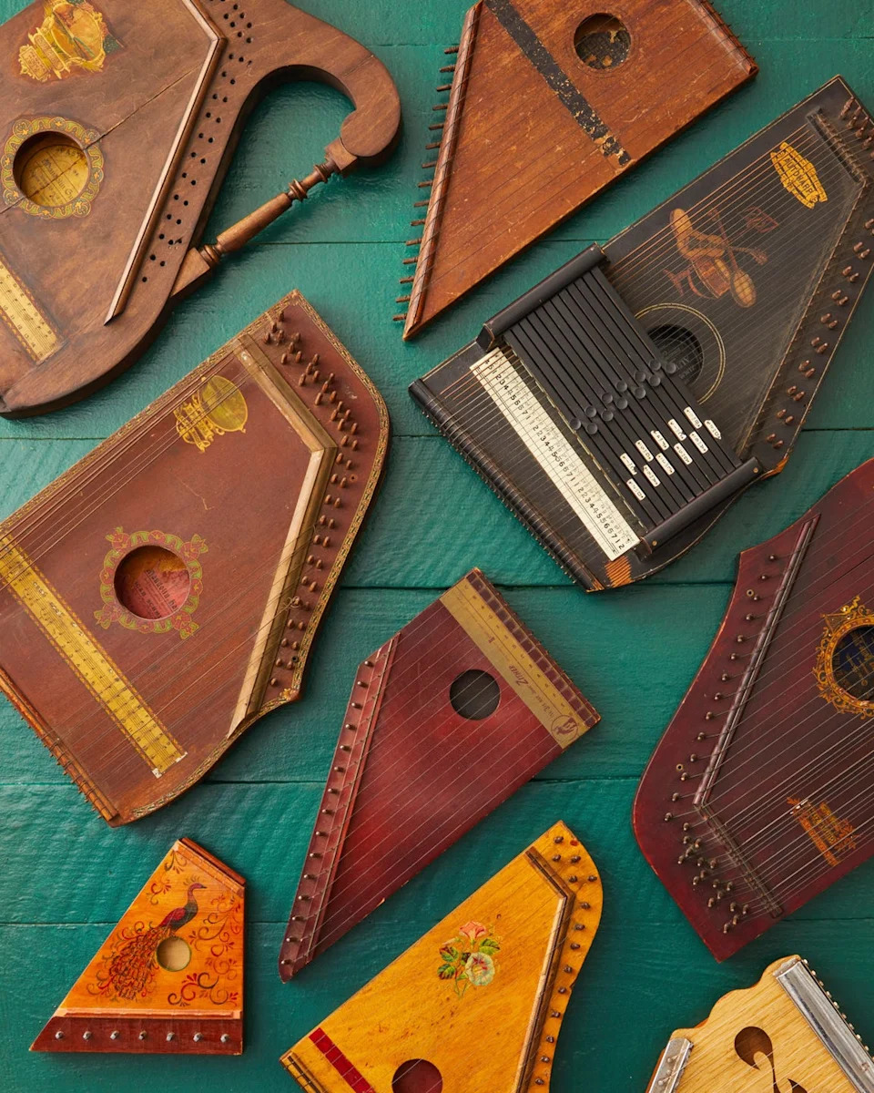 Variety of traditional stringed instruments arranged artistically on a green wooden surface.